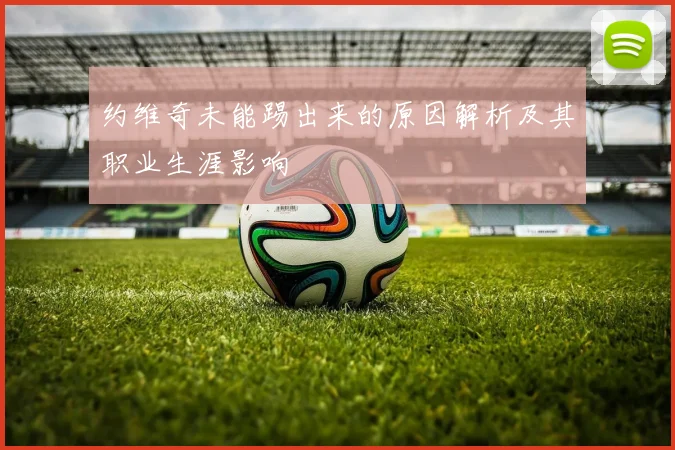约维奇未能踢出来的原因解析及其职业生涯影响