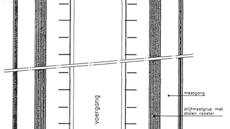 选品误区：过度依赖热门趋势，忽视市场需求
